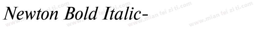 Newton Bold Italic字体转换